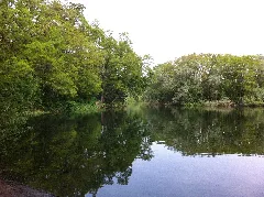 Ellerstadter Weiher 06
