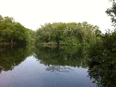 Ellerstadter Weiher 07