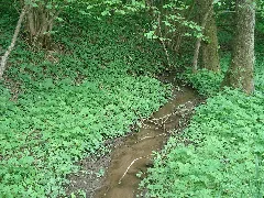 Elmertsbach