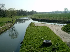 Elsemündung