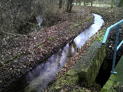 Elsterfloßgraben Bei Kötzschau 2013