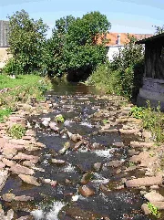 Elz In Dallau 1