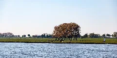 Emmerich Am Rhein, Rhein 2016 2321