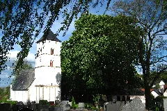 Engelstadt Nd 7339 088 Friedhofsbäume