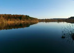 Enjoy The Silence Panoramio