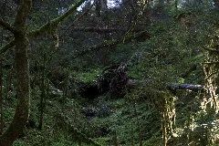 Erholung Pur Im "Feental"