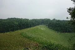 Eringerfeld (Damm)
