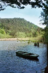 Erlenbach Bei Dahn, The Seehof Pond