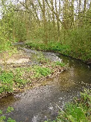 Erlenbach Ts Nieder Erlenbach 2