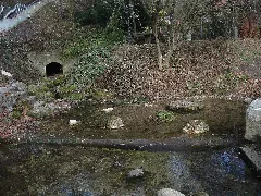 Erpfquelle