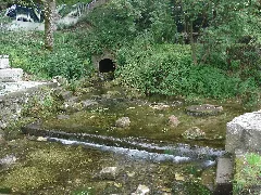 Erpfquelle (Sommer)