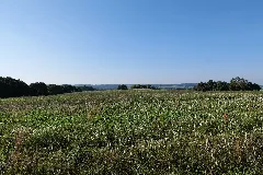 Escarpments Of Kummerower See In Kummerow 2021 09 08 01