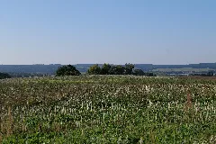 Escarpments Of Kummerower See In Kummerow 2021 09 08 02