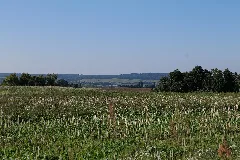 Escarpments Of Kummerower See In Kummerow 2021 09 08 03