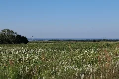 Escarpments Of Kummerower See In Kummerow 2021 09 08 04
