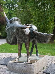 Esel Gottfried Kohl