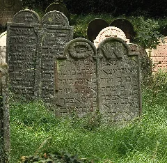 Essingen Und Landau 046 1