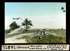 Eth Bib Steinhof, Westlicher Errat Block, Von Westen Dia 247 14511