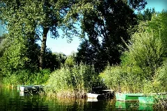 Ettlingenweier Buchtzigsee Bruchhausen Panoramio