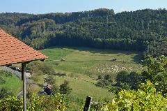 Etzlenswenden Kirschenklingenbächletal 2014 10 03