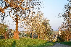Eutingen Panoramio