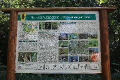 Explanation Board