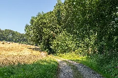 Extertal 2015 08 23 Lip 078 Siekbachtal (11)