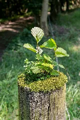 Extertal 2015 08 23 Lip 078 Siekbachtal (25)