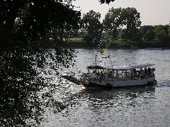 Fähre Krokolino Zündorf