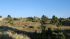 Falk Oberdorf Marleens Knoll
