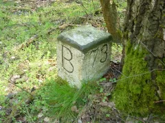 Falkenberger Forst1