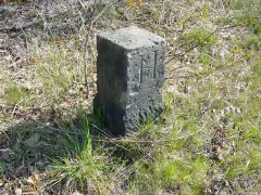 Falkenberger Forst3