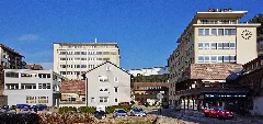 Faller (Gütenbach) 4487