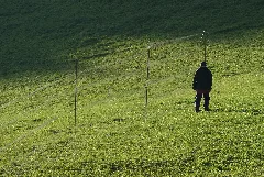 Fangnetze Für Die Zugvogelberingung Auf Der Ulmethöchi Werden Kontrolliert