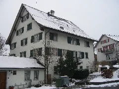 Farbstrobwetzikoni
