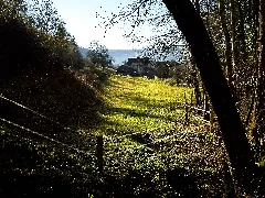 Farm Panoramio (5)