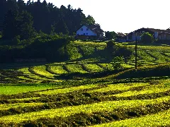 Farmers Are Artists Panoramio