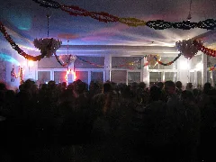 Fasching Post Weil Der Stadt 2011