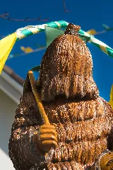 Fasnet Klengen 2513 (03)
