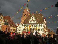 Fasnetsumzug Weil Der Stadt 02032013 4