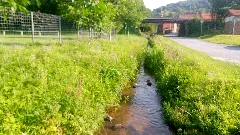 Fechenbach
