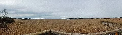 Federsee Bei Bad Buchau In Oberschwaben (Landkreis Biberach) Panoramio