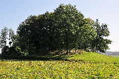 Fehraltorf Rüti, Erdwerk 2011 09 24 14 39 16
