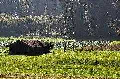 Fehraltorf Rüti, Erdwerk 2011 09 24 14 40 00