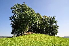Fehraltorf Rüti, Erdwerk 2011 09 24 14 40 30