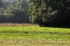 Fehraltorf Rüti, Erdwerk 2011 09 24 14 41 34