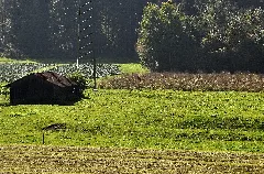 Fehraltorf Rüti, Erdwerk 2011 09 24 14 42 56