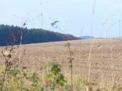 Feld Bei Der Heckhuscheider Strasse Geo.hlipp.de 6761