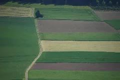 Felder Ballenbüel