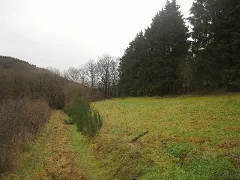 Feldweg In Richtung Rodershausen (Track Towards Rodershausen) Geo.hlipp.de 23396